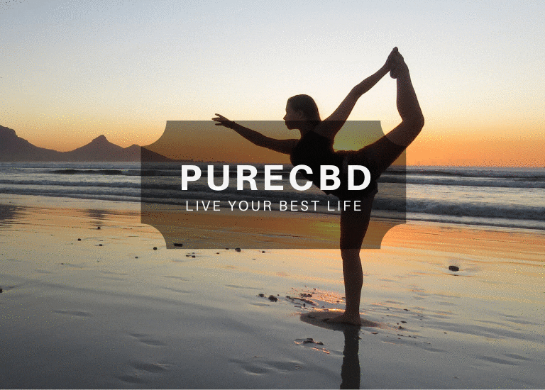 Pure CBD Now oil