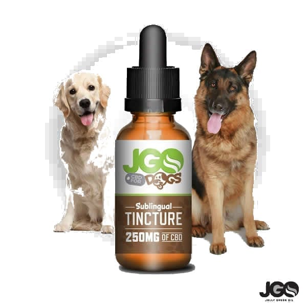 Jolly Green Oil CBD For Dogs 250mg