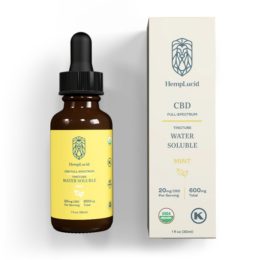 Mint Water Soluble CBD - 600mg