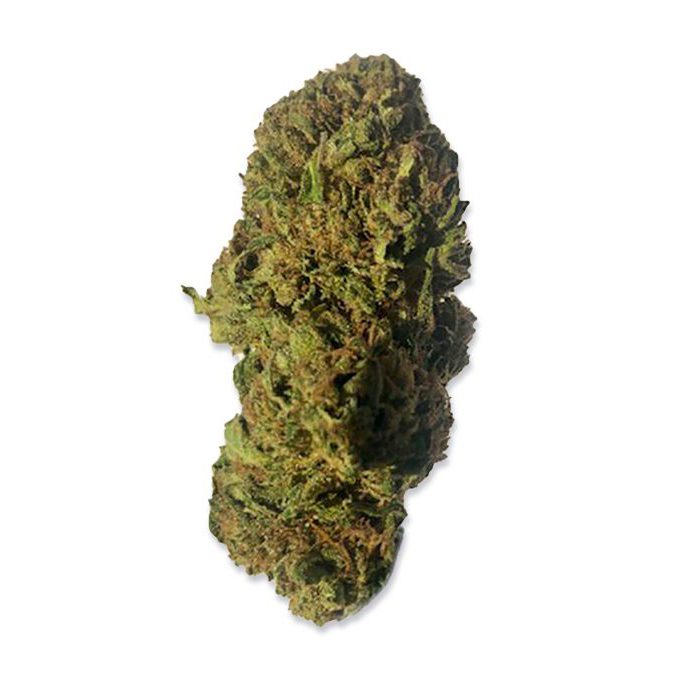 Buy CBD Flower Buds