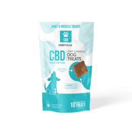 Hempzilla CBD Joint & Muscle Dog Treats