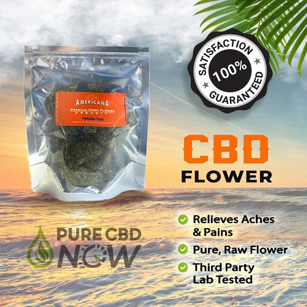 Buy CBD Flower Buds