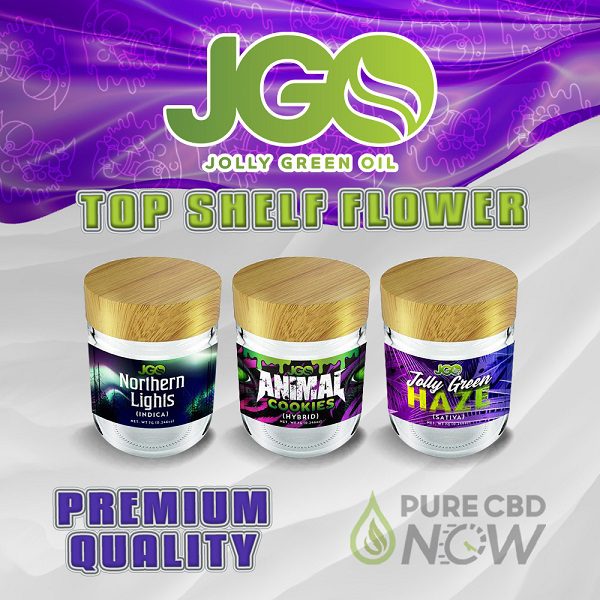 Buy Shelf Flower 7 GRAMS