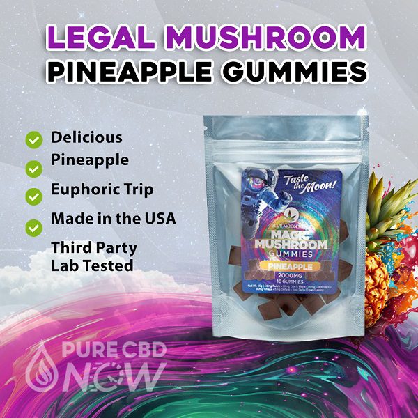 Mushroom Pineapple Gummies 2000mg (10ct) by Blue Moon Hemp