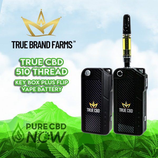 Key Box Plus FLIP Battery from TRUE CBD