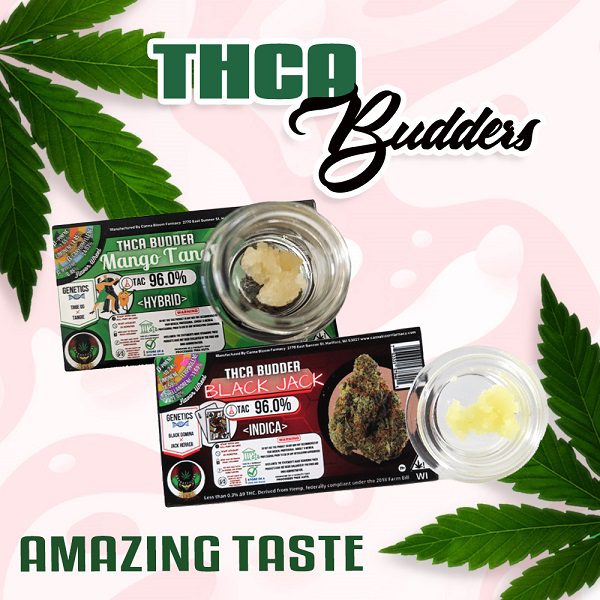 THCA Budders 1 Gram