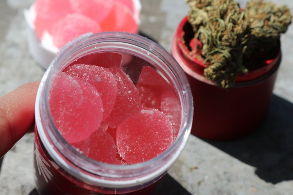 amanita muscaria gummies jar