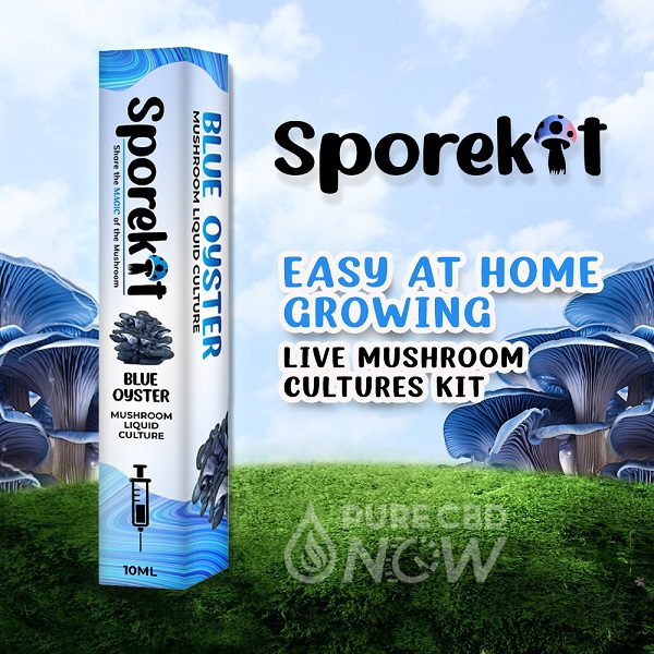 Blue Oyster Mushroom kit 10mL by Sporekit