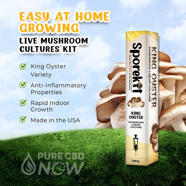 Sporekit King Oyster Mushrooms Liquid 10ml