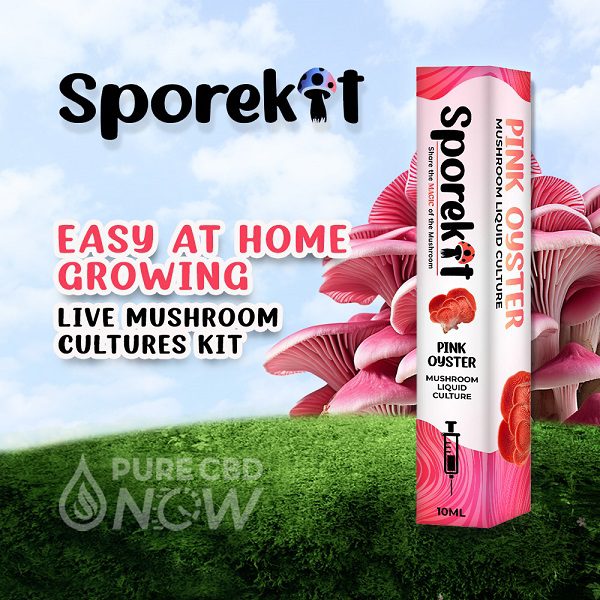 Pink Oyster Mushroom Liquid 10mL by Sporekit