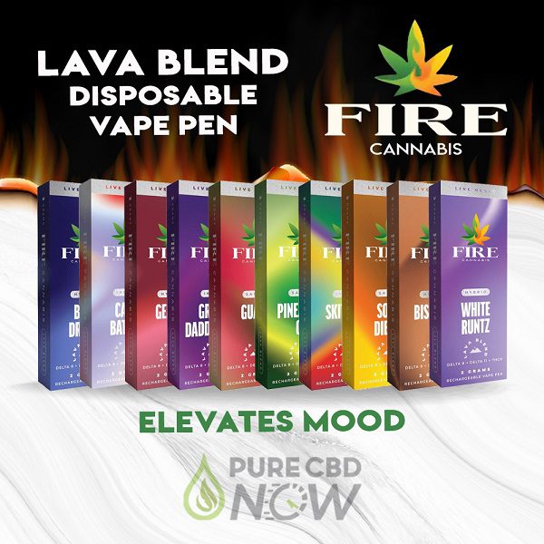 Lava Blend Disposable Vape Pen 2g