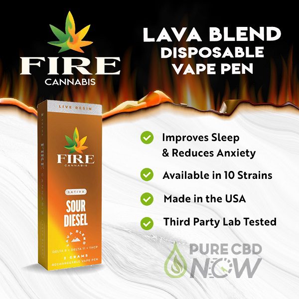 Buy Lava Blend Disposable Vape Pen 2g