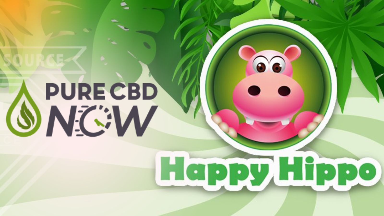 PureCBDNow Now Carries Happy Hippo- A Perfect Blend of CBD and Kratom