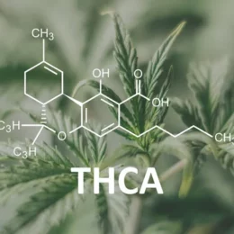 THCa Products