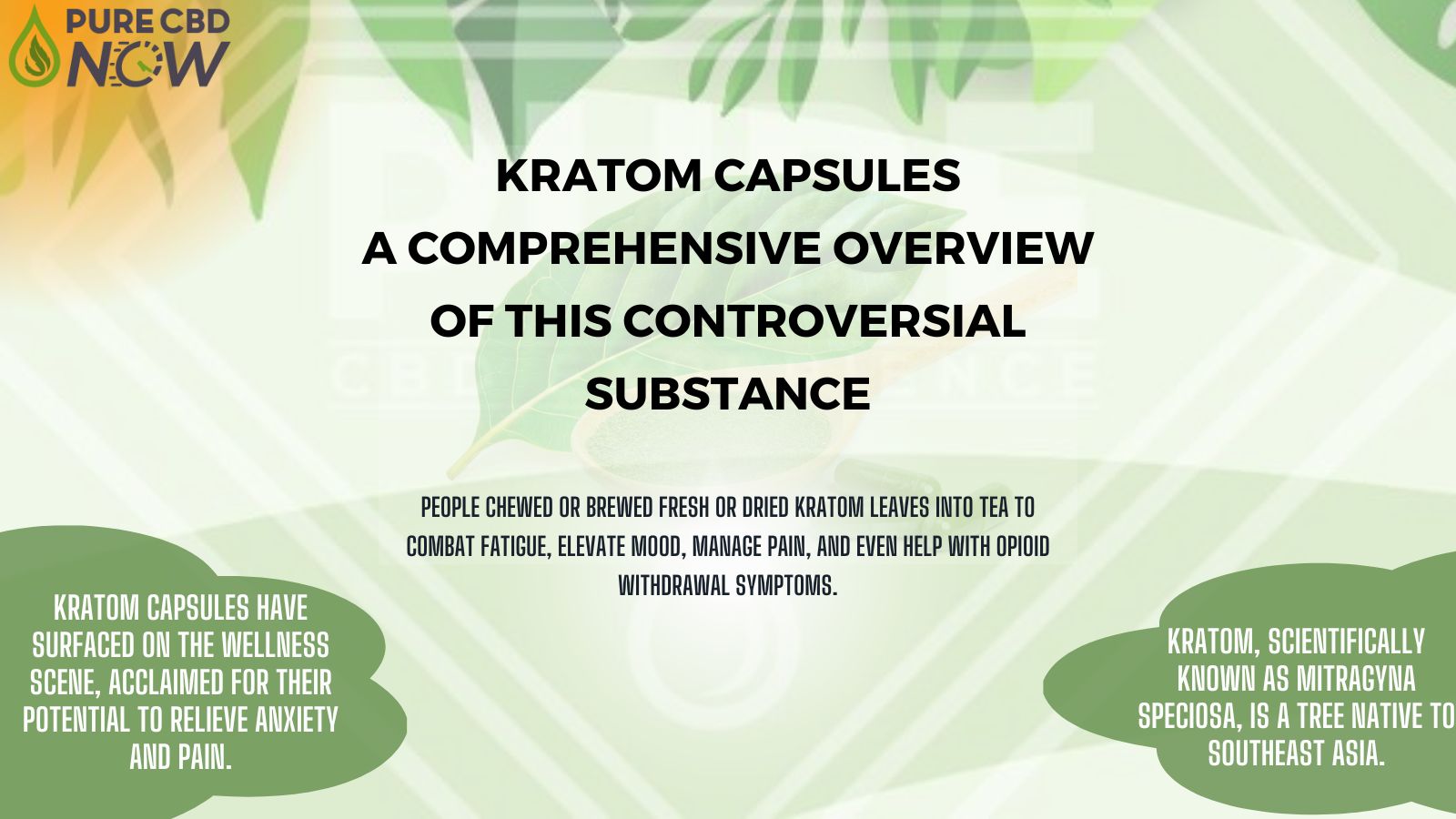 Kratom Capsules: A comprehensive overview of this controversial substance